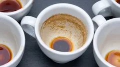 As canecas voltam a brilhar como novas: uma forma rápida de remover manchas de chá e café sem produtos químicos