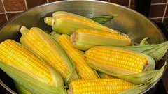 Como e durante quanto tempo se cozinha o milho – e o que se deve adicionar à água para que fique macio