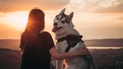 O amigo mais fiel do homem: será que um cão consegue esquecer o seu dono?