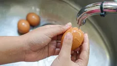 É mesmo necessário lavar os ovos antes de os colocar no frigorífico? É importante que saiba isto.