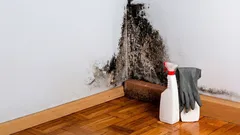 Por que é que se acumula humidade e bolor atrás dos móveis? Poucas pessoas pensam numa razão importante.