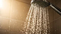 Como limpar o chuveiro do calcário: o método que os canalizadores usam