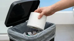 Adeus ao papel higiénico: duas das alternativas mais limpas e eficazes