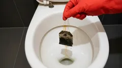 Vai ficar surpreendido, mas até um truque caseiro tão engraçado como este pode funcionar.