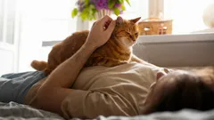 O teu pequeno curandeiro peludo: porque é que a tua gata vem ter contigo quando te sentes mal?