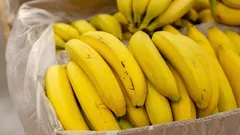 Sinais que indicam quais bananas se devem evitar a todo o custo — nunca compre essas.