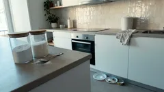 O truque do bicarbonato e açúcar para reduzir baratas — e o detalhe que faz mesmo diferença