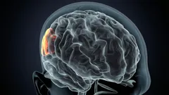 Uma análise detalhada das consequências decorrentes da falta de sono frequente.