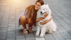 As raças de cães mais amigáveis para famílias com crianças — e que verdadeiramente gostam de pessoas.