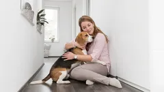 Que raças de cães de pequeno e médio porte são mais indicadas para viver num apartamento?