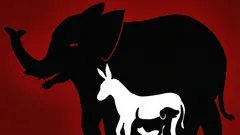 Ilusão de ótica interessante: quantos animais consegue encontrar nesta imagem em 10 segundos?